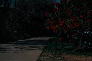 BIB: 
                            <button type="button" onclick="openModal(26139677)" class="btn btn-primary btn-sm float-right btn-popup" data-toggle="modal" data-target=".modal-high-quality">
                        <i class="fas fa-shopping-cart"></i> Add to Cart
                    </button>
                                            <button type="button" onclick="isThisMe(26139677, true)" class="btn btn-success btn-sm float-right btn-popup btn-isme hidden" data-toggle="tooltip" data-placement="bottom" title="นี่คือรูปของคุณใช่ไหม คลิกที่นี่เพื่อเอาเข้าอัลบั้ม">
                        <i class="fas fa-plus"></i> Add to album
                    </button>
                    <button type="button" onclick="isThisMe(26139677, false)" class="btn btn-warning btn-sm float-right btn-popup btn-isnotme hidden">
                        <i class="fas fa-ban"></i> Remove from album
                    </button>